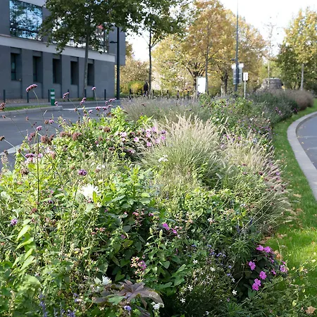 Le Grand 1er Maisons-Alfort